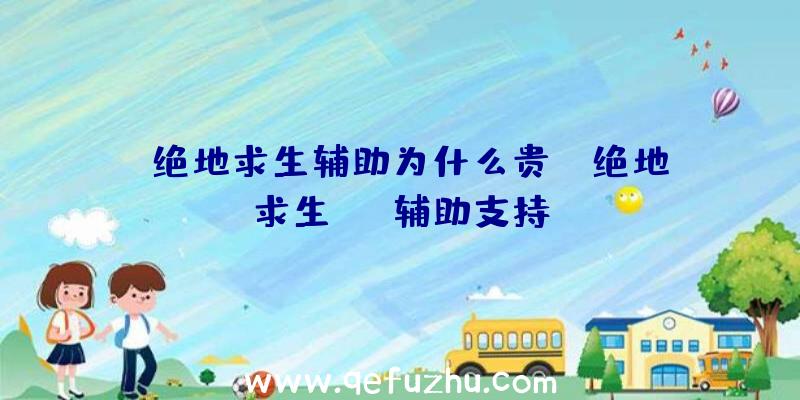 「绝地求生辅助为什么贵」|绝地求生sks辅助支持